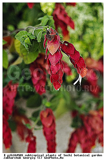 ��������, ������ ������ � ���������� ��� �������������� ��������� ������������ � �������������� �������, ������������� ����, ������, ����, zzz