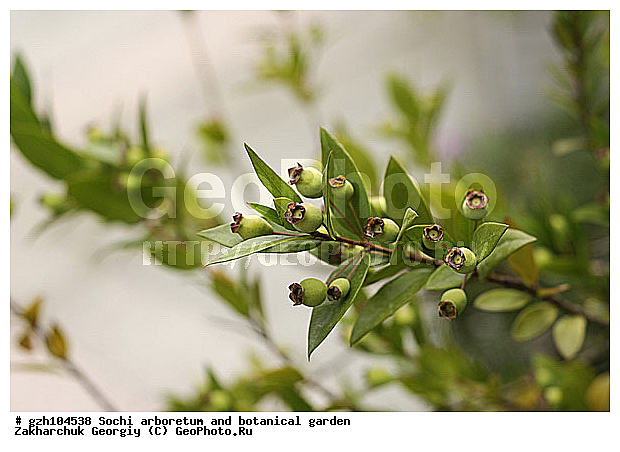 �������, ������ ������ � ���������� ��� �������������� ��������� ������������ � �������������� �������, ������������� ����, ����, ������, ����, zzz