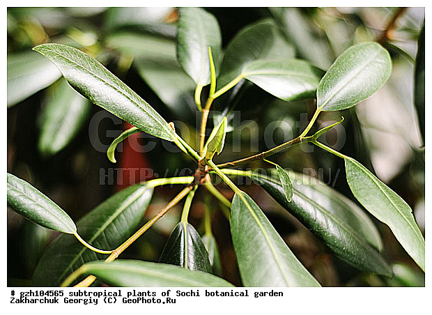 ������ ������ � ���������� ��� �������������� ��������� ������������ � �������������� �������, ������������� ����, ������, ����, �����, �������, ������������ �������, ��������, �������, ���, zzz