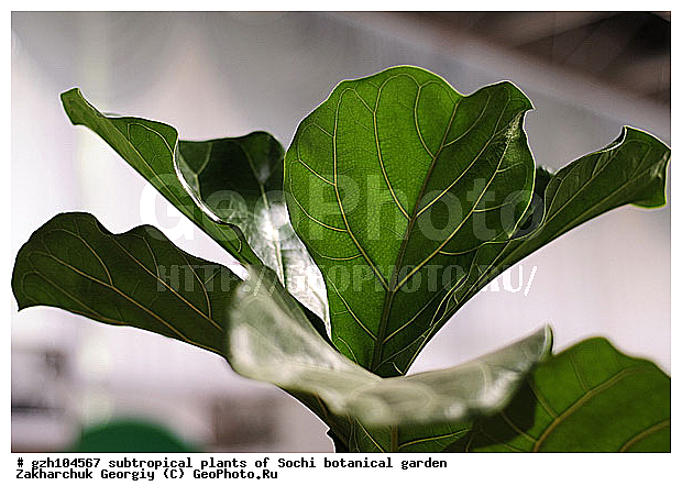 ������ ������ � ���������� ��� �������������� ��������� ������������ � �������������� �������, ������������� ����, ������, ����, �����, �������, ������������ �������, ��������, �������, ���, zzz