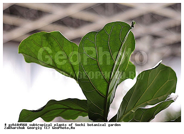 ������ ������ � ���������� ��� �������������� ��������� ������������ � �������������� �������, ������������� ����, ������, ����, �����, zzz