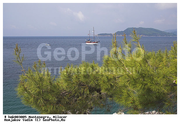 �������������, ������������� ����, ����������, ���������� �������, ����������, ���������� �����, �������, ����������, �����-������, ������, ����, �����, ���������, �������, ������ ����������, ���������