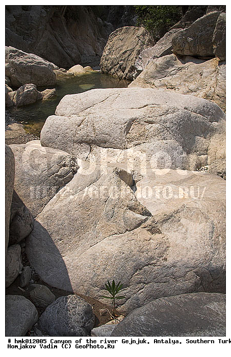 �������, ��������, ������, ���, ������, �����, ������������, �����, ����, ��������, ����������, ����, �����, ���������, ������, ������, ������, �����