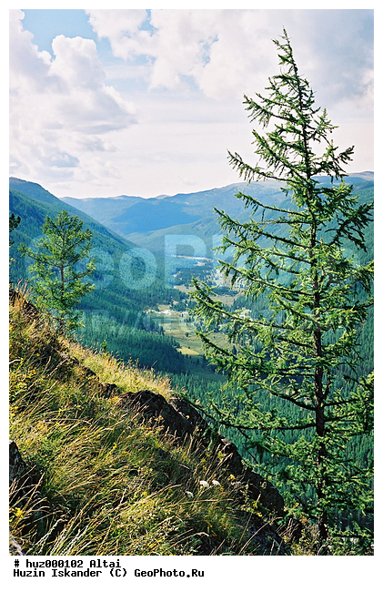 ��������� ����, ��������� ����������, ������ ������, ������ �����, ����, ������, ����������, �����, ���������� �����