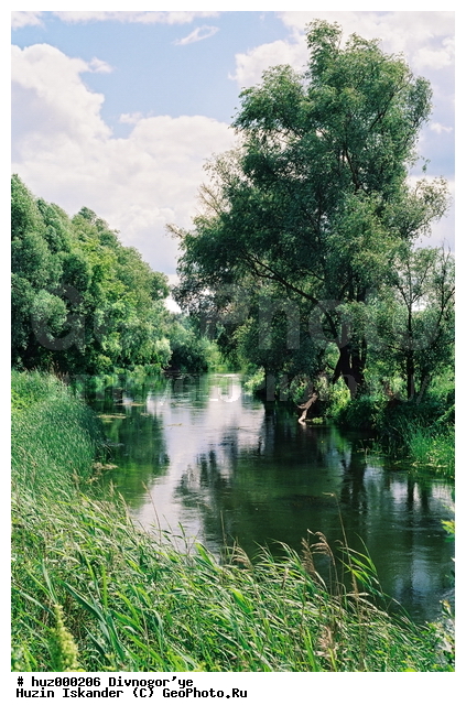 ����������, ��������������� ����������, ����, ������, ��������-��������������� ����������, ����