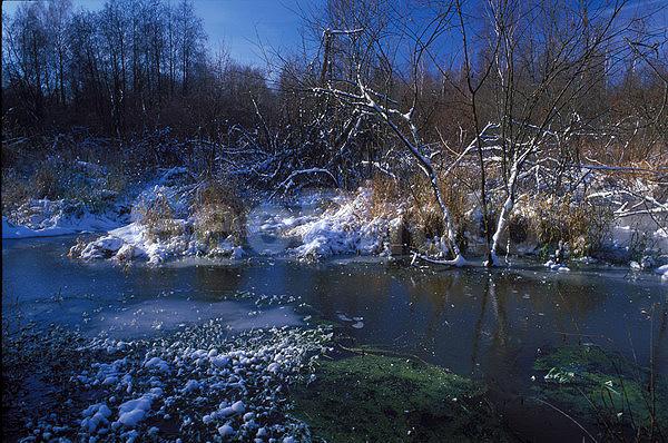 ����������, �����������, ���, ��������, ������, �����, �����, ������