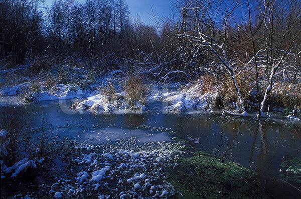 ����������, �����������, ���, ��������, ������, �����, �����, ������