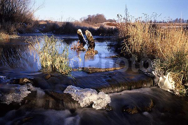 ����������, �����������, ���, ��������, ������, �����, �����, ������