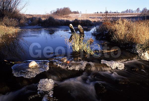 ����������, �����������, ���, ��������, ������, �����, �����, ������