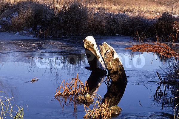 ����������, �����������, ���, ��������, ������, �����, �����, ������