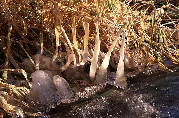 ����������, �����������, ���, ��������, ������, �����, �����, ������