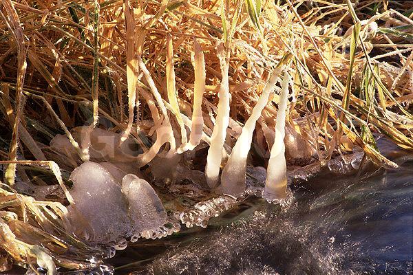 ����������, �����������, ���, ��������, ������, �����, �����, ������