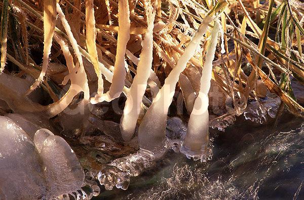 ����������, �����������, ���, ��������, ������, �����, �����, ������