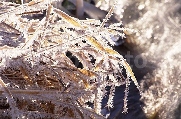 ����������, �����������, ���, ��������, ������, �����, �����, ������