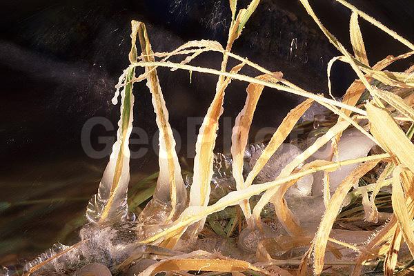 ����������, �����������, ���, ��������, ������, �����, �����, ������