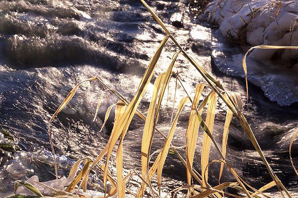 ����������, �����������, ���, ��������, ������, �����, �����, ������