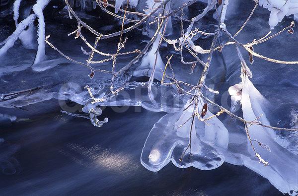 ����������, �����������, ���, ��������, ������, �����, �����, ������