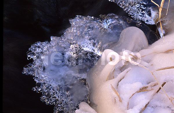 ����������, �����������, ���, ��������, ������, �����, �����, ������