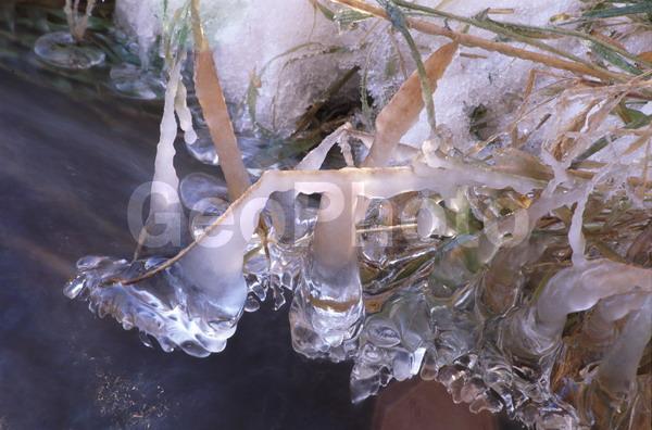 ����������, �����������, ���, ��������, ������, �����, �����, ������