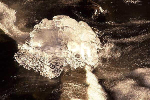 ����������, �����������, ���, ��������, ������, �����, �����, ������