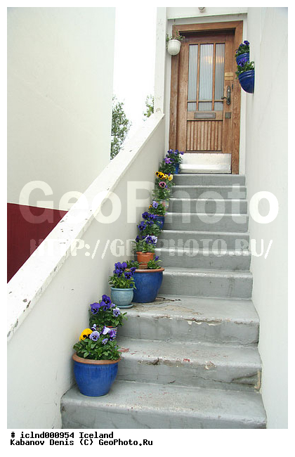 ��������, ���������, �����, �����, ���, ��������, �����