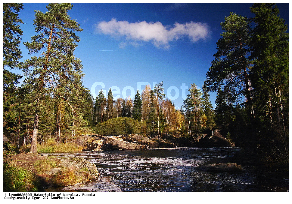 ���������� �������, �������, �������, ������� ������������, ���� �����