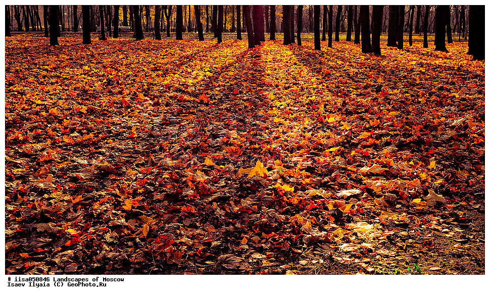 ������, ������, ������