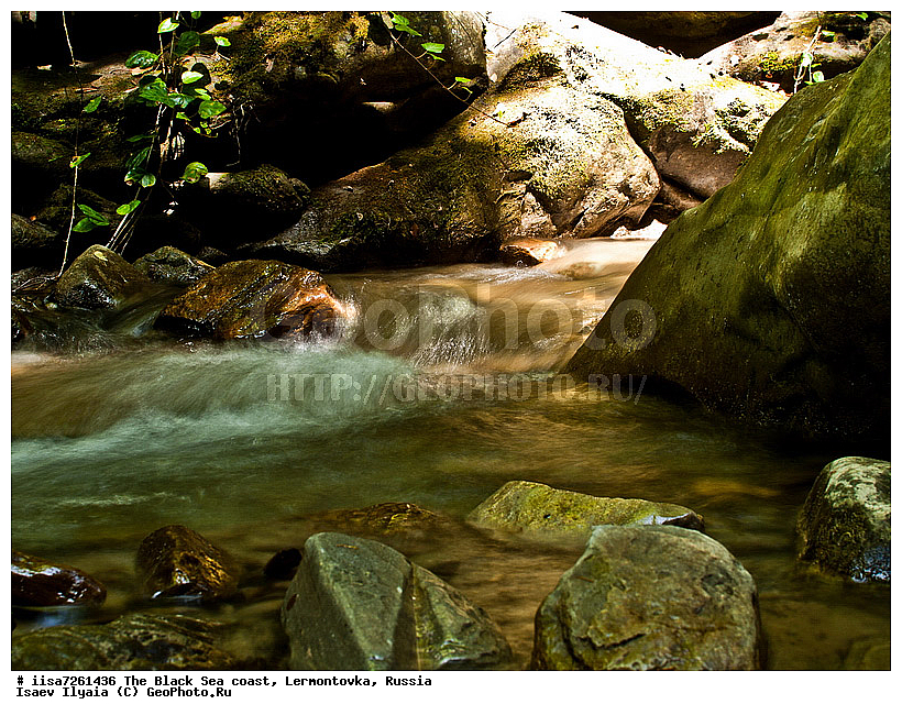 �����������, ������������ ���������, ������ �����, ����� �� ����