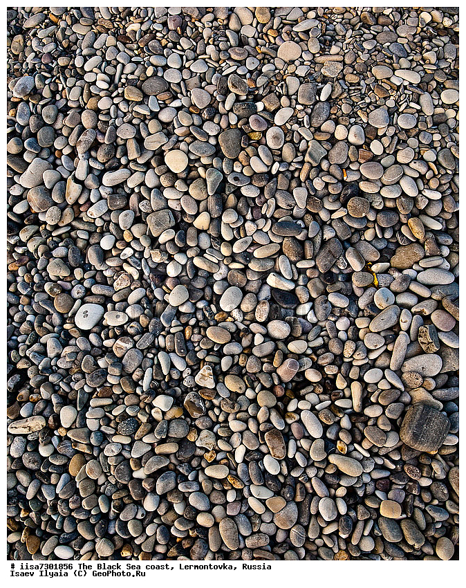 �����������, ������������ ���������, �����������, �����, ������, ������ �����, ����, ����� �� ����, ���������, ��������