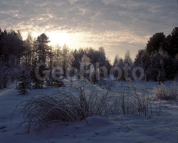 �������, ��������, �����, ������� ������, ����, ���������, �����, ������� ������, ��������, ����, ����, �����