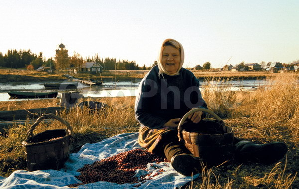 ����� ����, ���������, �����, �������, ������, �������, ��������� �����, ���� �����, ������� ����� � �����, ������ ��������, �����, ���������� ��������, ������������ ��������, ������������ ��������, ����, �����, �����, �����, XYZ, ����������, Ericaceae, ������ ��������, ������ ������������, ������ ����������������, Oxycoccus palustris, Oxycoccus quadripetalus, Vaccinium oxycoccos, ������ ��������, �����, ���������� ��������, ������������ ��������, ������������ ��������, ����, �����, �����, �����, XYZ, ����������, Ericaceae, ������ ��������, ������ ������������, ������ ����������������, Oxycoccus palustris, Oxycoccus quadripetalus, Vaccinium oxycoccos