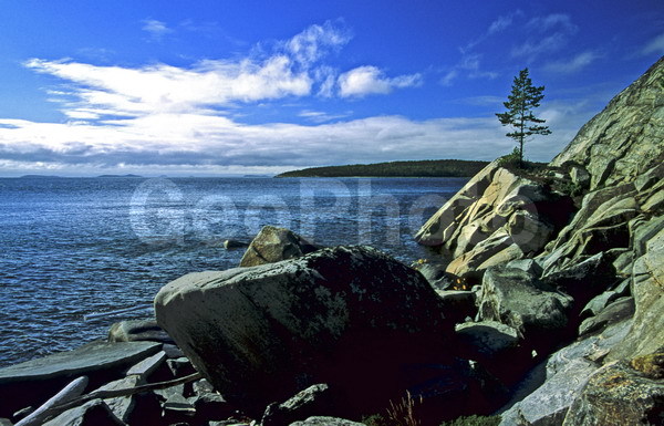 ����� ����, ���������, �������