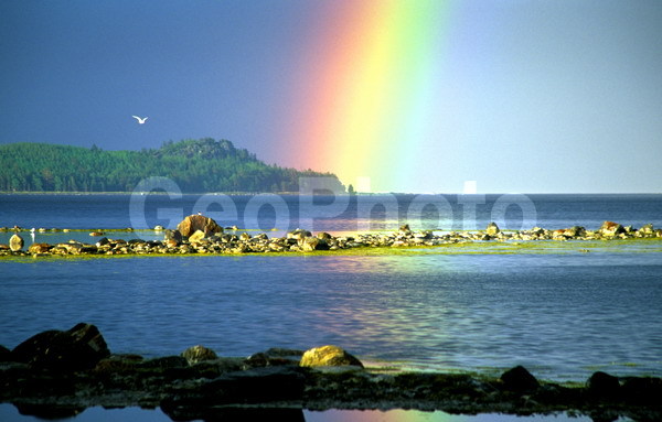 ����� ����, ����������, ������������� �����, ������������� ����������, �����, �����, ��������, �����, ������, ������ ��� �����