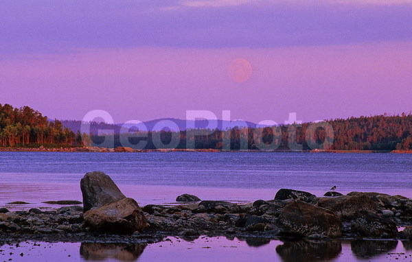 ����� ����, ���������, ������������� ����������, �������, ���������� �����