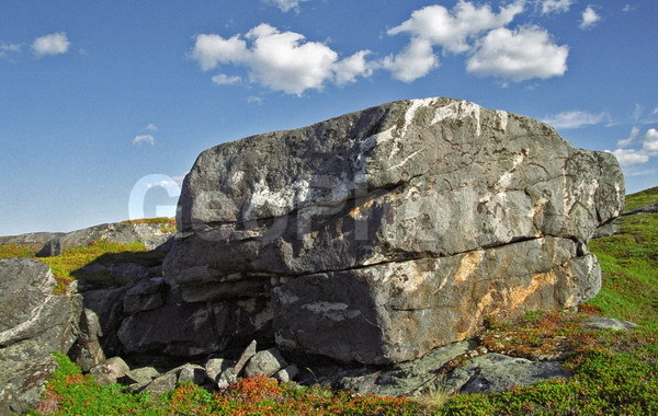 ����� ����, ���������, �������, 