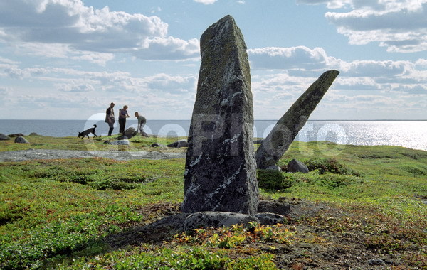 ����� ����, ���������, �������, ����������, ������, �������, ������ ������� ������, ����