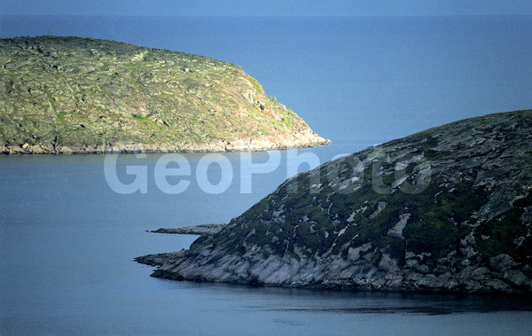 ����� ����, ���������, �������, ��������� ������