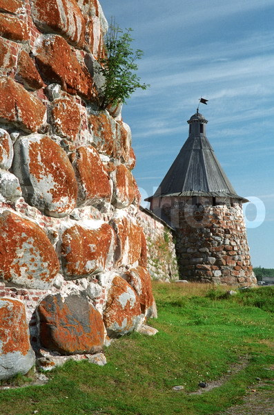 ����� ����, ���������, �������, ���������� ������, �������