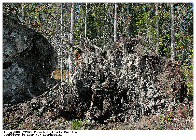 �����-��������, �������, ��������� �����, ������, ��������, �������� ������, �������� ���� �����