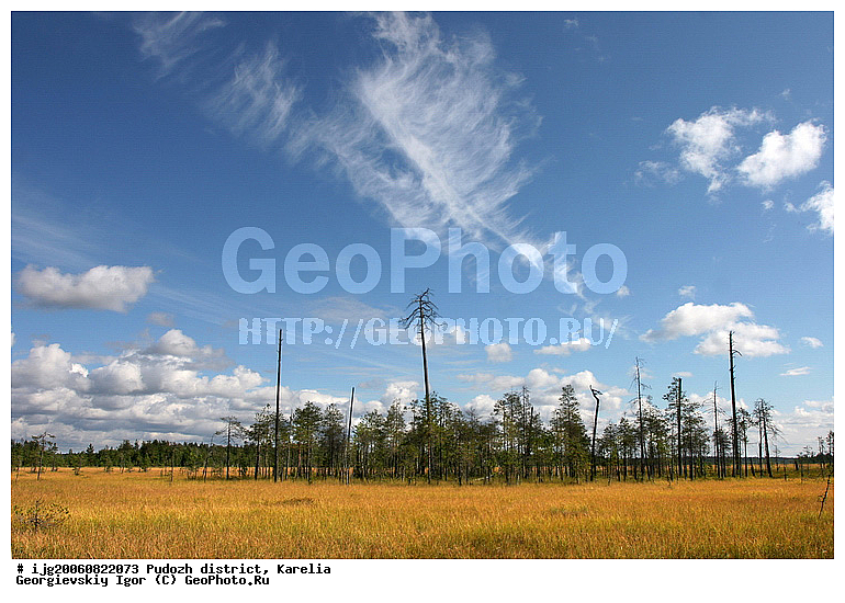 �����-��������, �������, ��������� �����, ������, ��������, �������� ������, �������� ���� �����