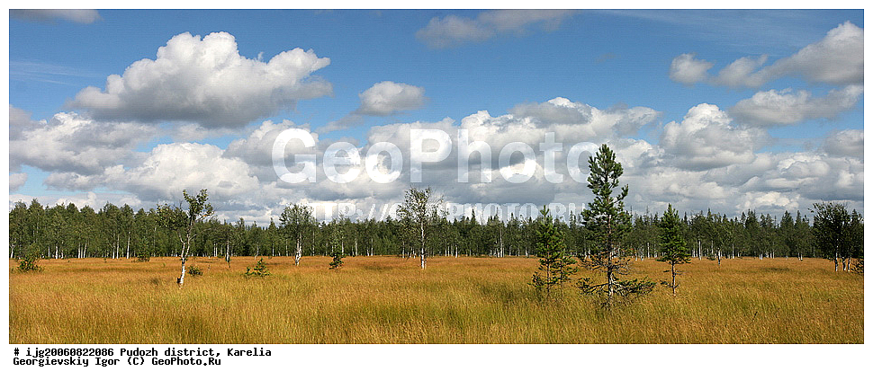 �����-��������, �������, ��������� �����, ������, ��������, �������� ������, �������� ���� �����