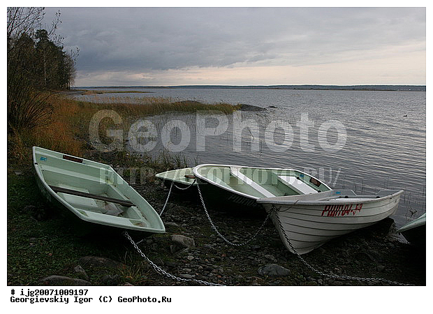 �������, ������ � �������, �����, �����, ���, �����, �� ������, �����, �����, �������, ����, ������, ����