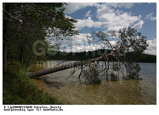 �������, ������, ��������, ���������� �����, ����� ������, ������, ��������, �����, ������ �������, ����, �������, �����, �������, ��������