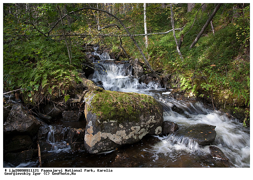 �������, �������� �����, ������������ ����, ���������, ���������� �������, ����, ��������, ������, ����, ��������, ������� ����, ����