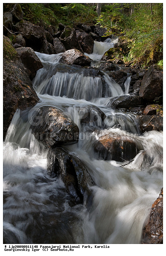 �������, �������� �����, ������������ ����, ���������, ���������� �������, ����, ��������, ������, ����, ��������, ������� ����, ����