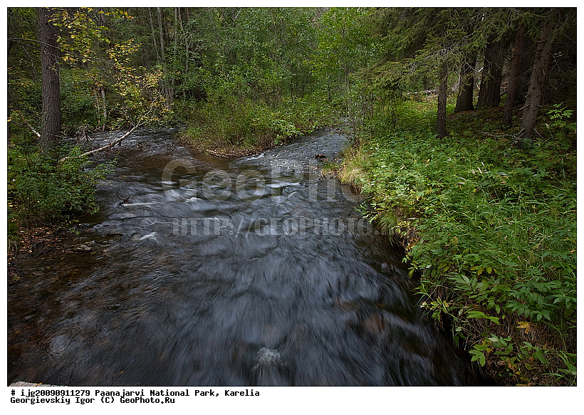 �������, �������� �����, ������������ ����, ���������, ���������� �������, ����, ��������, ������, ����, ��������, ������� ����, ����