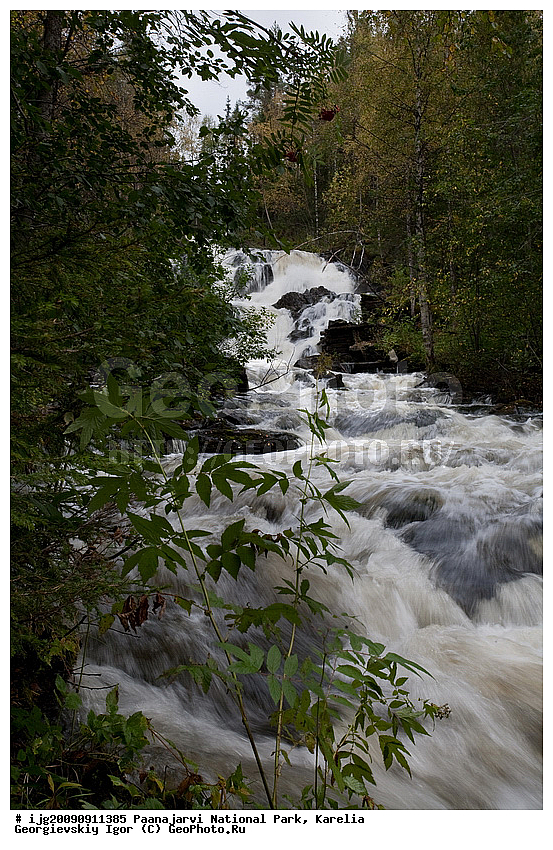 �������, �������� �����, ������������ ����, ���������, ���������� �������, ����, ��������, ������, ����, ��������, ������� ����, ����