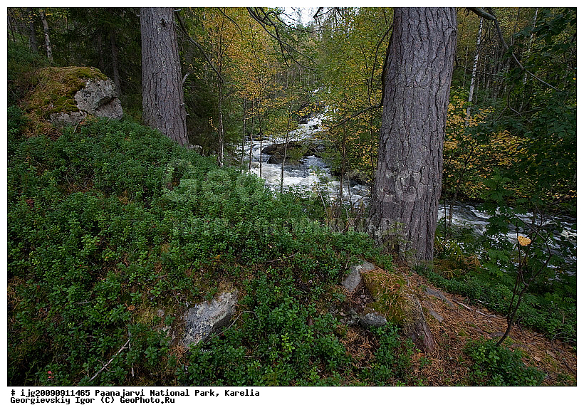 �������, �������� �����, ������������ ����, ���������, ���������� �������, ����, ��������, ������, ����, ��������, ������� ����, ����