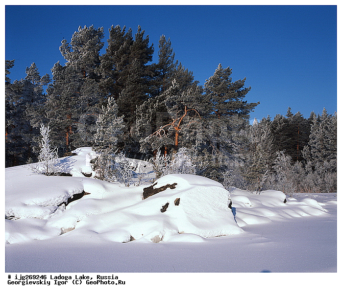 ���� �������, ������, �������, ������, ���, ����������, ����������, �������� ����������, � �����, �����������, �����, ��������, ����, ���������, ��������, �����, ��������, ����