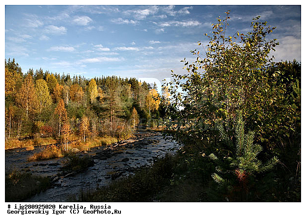 ������ �����, �������, ���������� ��������, ��������, ��������������� �����, �������, �����, �������, ������, ������ ������, ���, ��������, �����, ��������, �������� ����, ������ � �������, ���� �����, ����